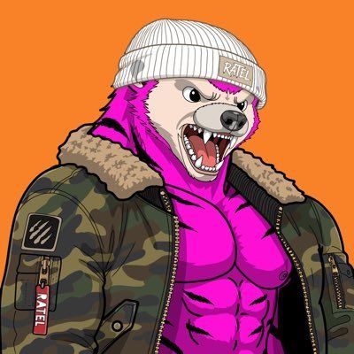 RATELMAFIA NFT: pink honey badger wearing a camo jacket